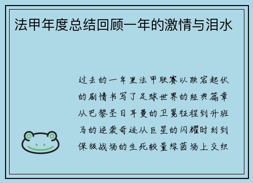 法甲年度总结回顾一年的激情与泪水