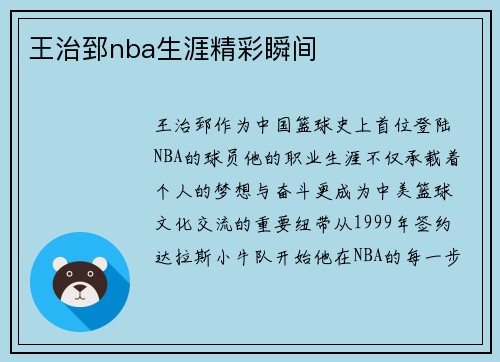 王治郅nba生涯精彩瞬间